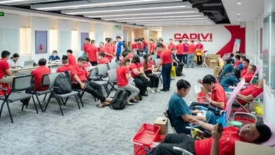 Tập đoàn GELEX tổ chức hiến máu tình nguyện nhân dịp kỷ niệm 35 năm thành lập
