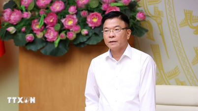 부총리: 의료에서 ​​전통의학의 역할 강화