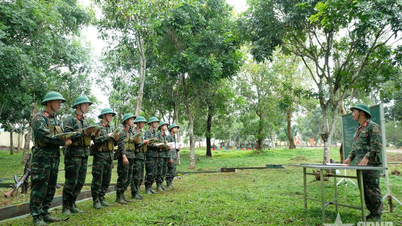 កងពលលេខ ៣២០ (កងពលលេខ៣៤)៖ វគ្គបណ្ដុះបណ្ដាលគ្រប់ជ្រុងជ្រោយរបស់មេបញ្ជាការក្រុមហ៊ុន