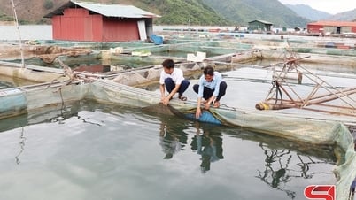 Cage fish farming in Muong Khieng