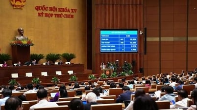 التعليم المجاني: نظام للشعب، عمل للمستقبل