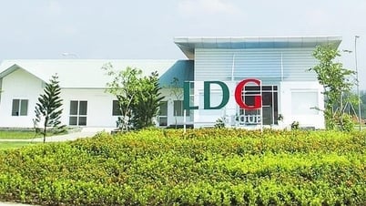 LDG Investment (LDG) speaks out about the stock hitting the ceiling for 5 consecutive sessions
