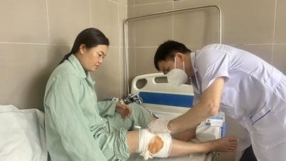 2025년 상반기 건강보험료 3950억동 돌파