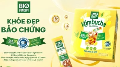 바이오 컨셉트 콤부차 발효 음료: 균형 잡힌 삶에 대한 필요성 충족