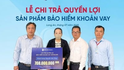 Bảo hiểm khoản vay sát cánh cùng người vay vốn: Bảo hiểm Vietinbank (VBI) Long An chi trả hơn 800 triệu đồng quyền lợi bảo hiểm