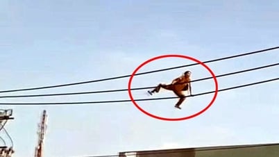Người phụ nữ bò trên dây điện, rơi xuống đất nguy kịch