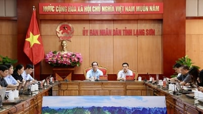 Sơ kết 5 năm phát triển y dược cổ truyền, kết hợp y dược hiện đại