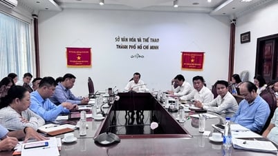 ينبغي تنظيم الأنشطة الثقافية والرياضية في كافة أنحاء مدينة هوشي منه.