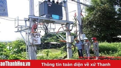 Nhân rộng mô hình HTX nông nghiệp “đa-zi-năng”