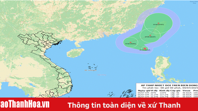 東海の低気圧が熱帯低気圧に発達した。