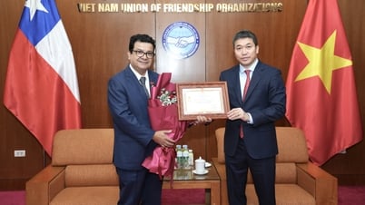 Reconociendo las contribuciones del Embajador Sergio Narea en la promoción de la amistad entre Vietnam y Chile