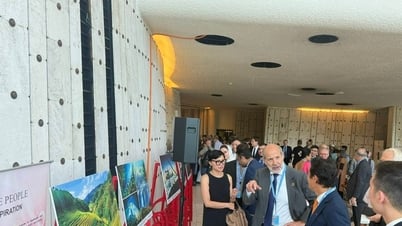 Promoting the image of 'Vietnam - Identity, Humanity, Integration' at the United Nations