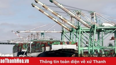 Mỹ bắt đầu thông báo thuế quan với các nước, mức tiềm năng thấp nhất 20%