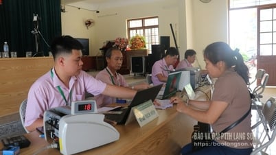 Tín dụng chính sách bon bon sau sáp nhập