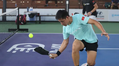 Турнир по пиклболу во Вьетнаме - Hyundai Thanh Cong Cup 2025: первоклассные соревнования