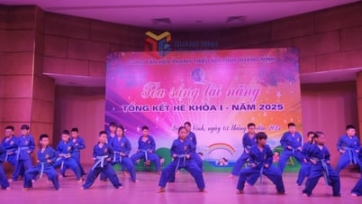 Palais culturel de la jeunesse de Quang Ninh : résumé du cours d'été I, 2025