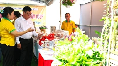 Điểm tựa vững chắc giúp hội viên nông dân phát triển kinh tế