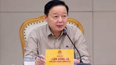 Hoàn thiện Bộ tiêu chí OCOP theo hướng xây dựng thương hiệu quốc gia, đáp ứng yêu cầu mới