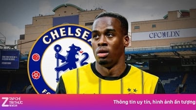 Chelsea welcomes new recruit for 55 million pounds