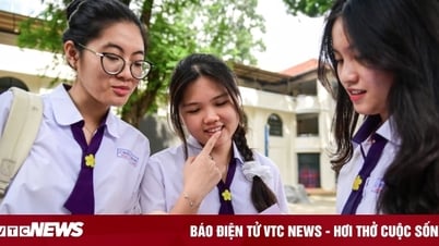 'Du học 4 năm, tôi chỉ làm đúng 35/40 câu hỏi đề tiếng Anh thi tốt nghiệp THPT'