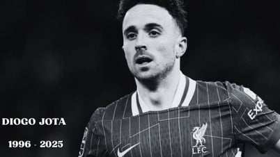 Diogo Jota's journey to becoming a football hero