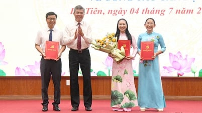 Công bố quyết định thành lập 54 chi, đảng bộ trực thuộc Đảng bộ phường Hà Tiên