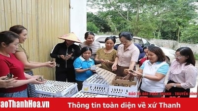 연계성과 지속 가능한 발전을 향한 집단적 경제 모델 구축