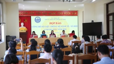 Họp báo công bố số liệu thống kê kinh tế - xã hội tỉnh 6 tháng đầu năm 2025