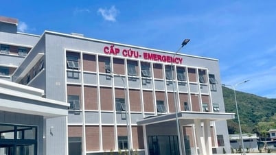 ¿Cómo desarrolla Ho Chi Minh la atención sanitaria para la zona especial de Con Dao?