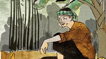Bác Ba Phi kể chuyện miệt rừng giờ đã thành miệt ước mơ