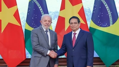 ベトナムとブラジルの経済貿易関係の強化