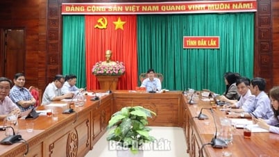 Focus on comprehensive development of traditional medicine
