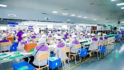 نغي آن: الواردات والصادرات تتجاوز 3.1 مليار دولار أمريكي في الأشهر الستة الأولى من عام 2025، وبعض بنود التصدير تزيد "عموديًا" 5.5 مرة