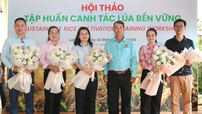 កូកា-កូឡា វៀត​ណាម​ជំរុញ​ការ​ធ្វើ​ស្រែ​ប្រកប​ដោយ​និរន្តរភាព​នៅ​ខេត្ត​តៃនិញ