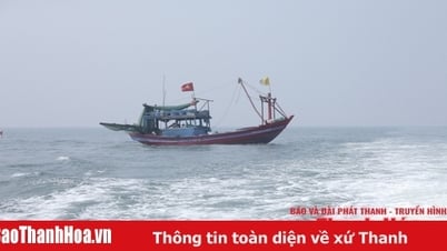 ឆ្លើយតបយ៉ាងសកម្មទៅនឹងការធ្លាក់ទឹកចិត្តត្រូពិច និងខ្យល់បក់ខ្លាំងនៅសមុទ្រ