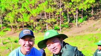 Join hands to "patch the forest" of Ta Dung