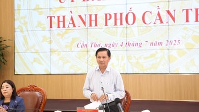 Cần Thơ miễn lệ phí một số thủ tục hành chính đến khi có nghị quyết của HĐND