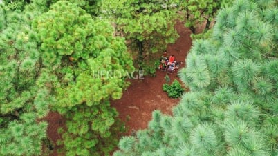 រត់​ចេញ​ពី​ទីក្រុង​ដើម្បី​រក​ឃើញ​ថា​ខ្លួន​ឯង​រស់​នៅ​យឺត​ជាង