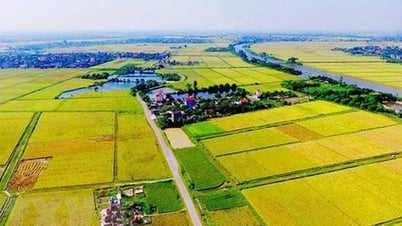 Verlängerung der Befreiungsfrist für die landwirtschaftliche Bodennutzungssteuer