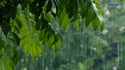 Tháng 6, miền Bắc mưa vượt kỷ lục gần 50 năm