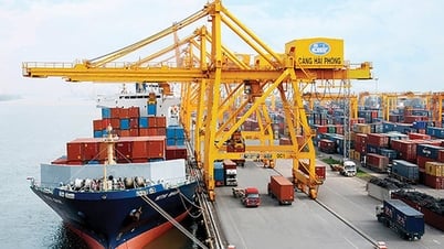 Khởi đầu thần tốc với ngân sách vượt trội của TP Hải Phòng