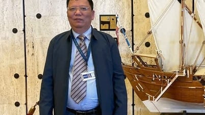 SPS Việt Nam hướng dẫn doanh nghiệp cập nhật thông tin xuất khẩu thực phẩm sang Trung Quốc