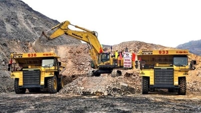 Акции Deo Nai Coal - Coc 6 «обвалились» после новостей об аресте члена совета директоров