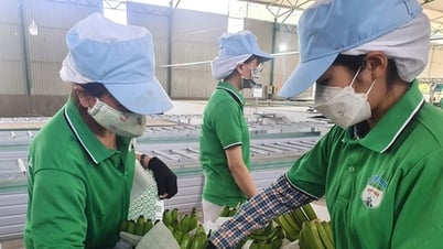 Hoàng Anh Gia Lai chậm trả lãi trái phiếu, sắp có hơn 1.000 tỉ thu nhập bất thường