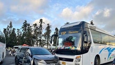 ラムドン省：ロータリーで4台の車が連続して衝突…
