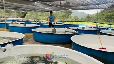Áp dụng công nghệ bể nổi nuôi cá nước lạnh ở Quảng Tân