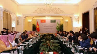Kiện toàn nhân sự Ủy ban hợp tác Việt Nam - Lào