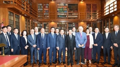 Förderung der wirtschaftlichen Zusammenarbeit zwischen Vietnam und Spanien