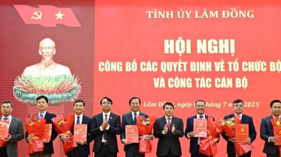 ラムドン省党委員会傘下の諮問・支援機関の指導部員