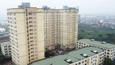 La zone d'habitation des travailleurs de Kim Chung compte des milliers de logements vacants :